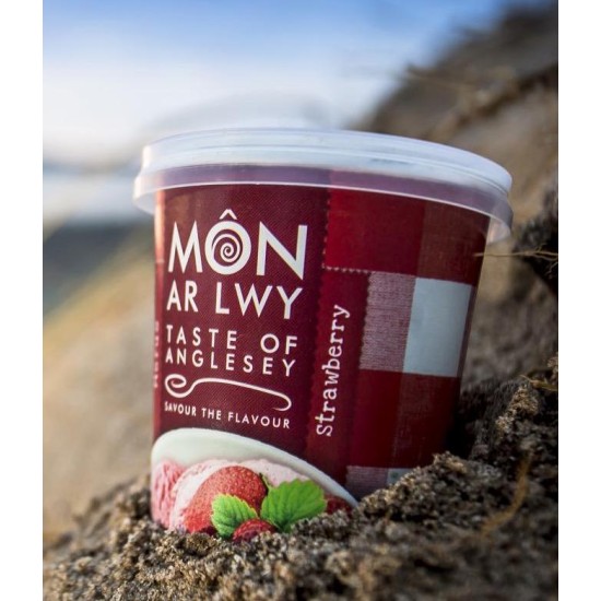 Môn ar Lwy Award-Winning Artisanal Welsh Ice Cream, Sorbet & Frozen Yogurt Tubs (24 x 125ml)