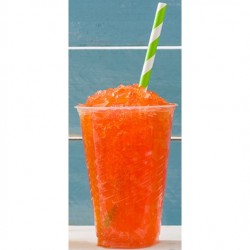 Sugar-Free Slush Syrup (5 litres) - 2 Flavours Available